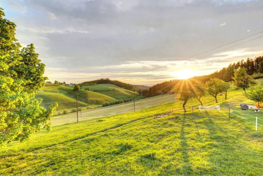 Sonnenuntergang am Häusle bei der Linde