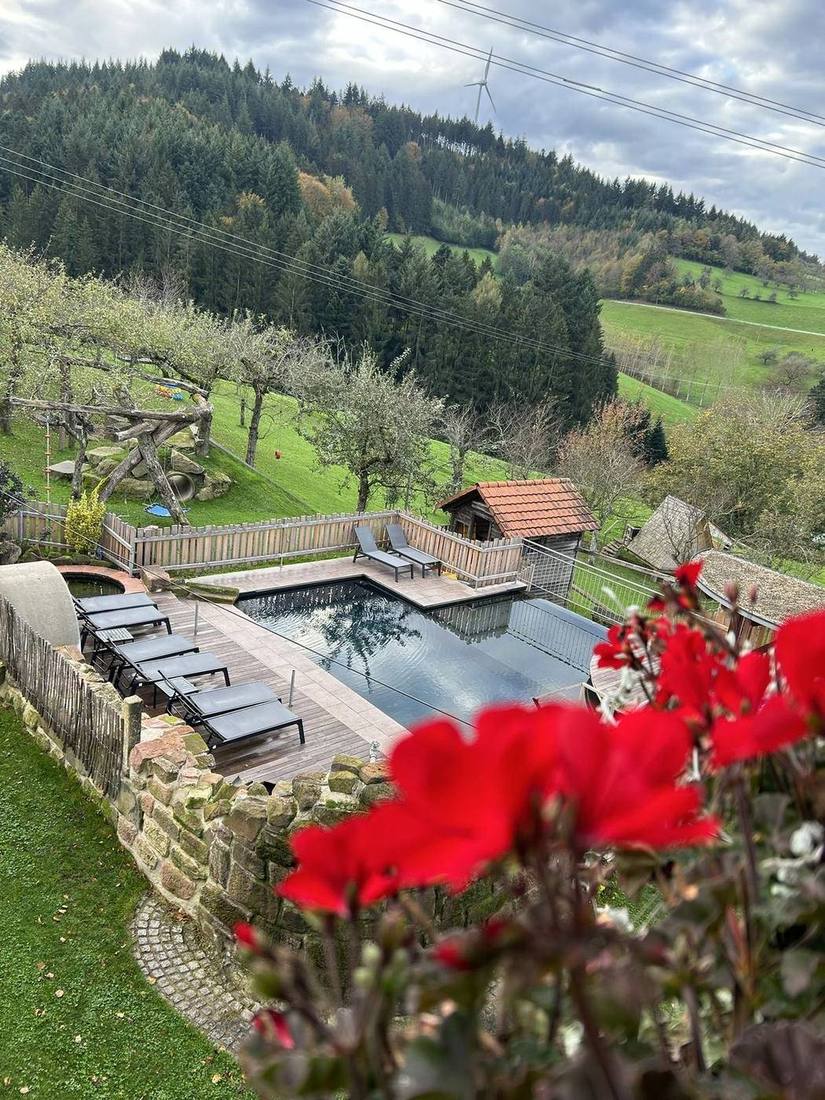 Blick vom Balkon von Haus Rose auf Naturpool und Spielplatz